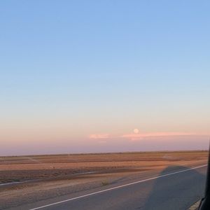 Meet your Posher, Desiree